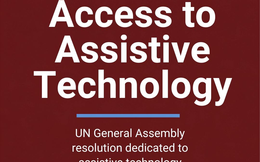 ShonaquipSE Position Statement – From Access to Inclusion
